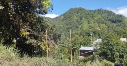 Casa Huerta en San Ramón