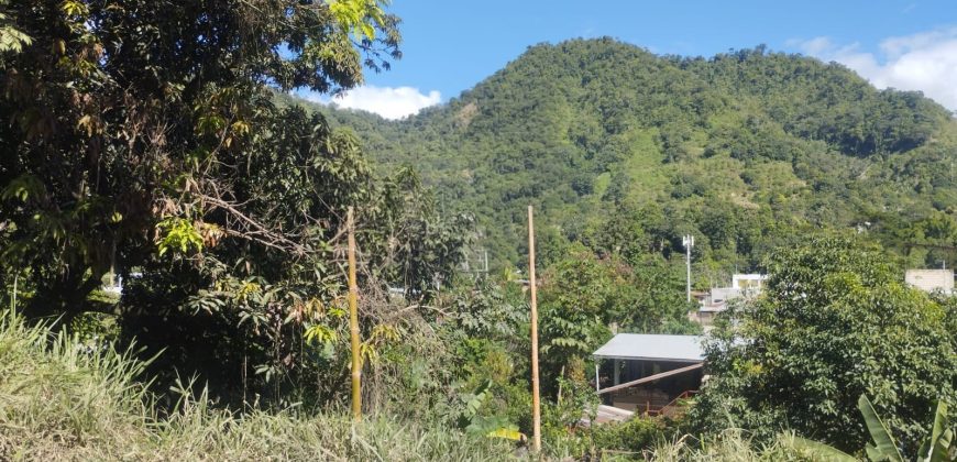 Casa Huerta en San Ramón