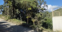 Casa Huerta en San Ramón