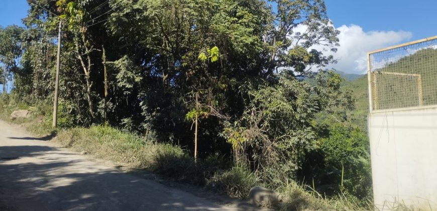 Casa Huerta en San Ramón