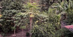 Casa Huerta en San Ramón