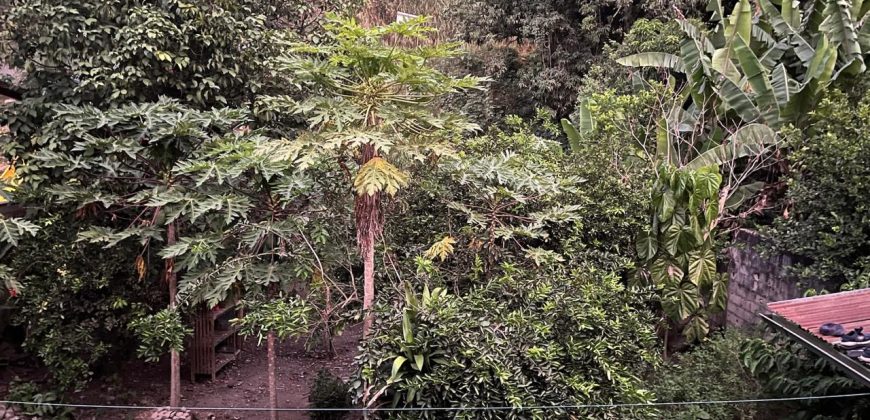 Casa Huerta en San Ramón